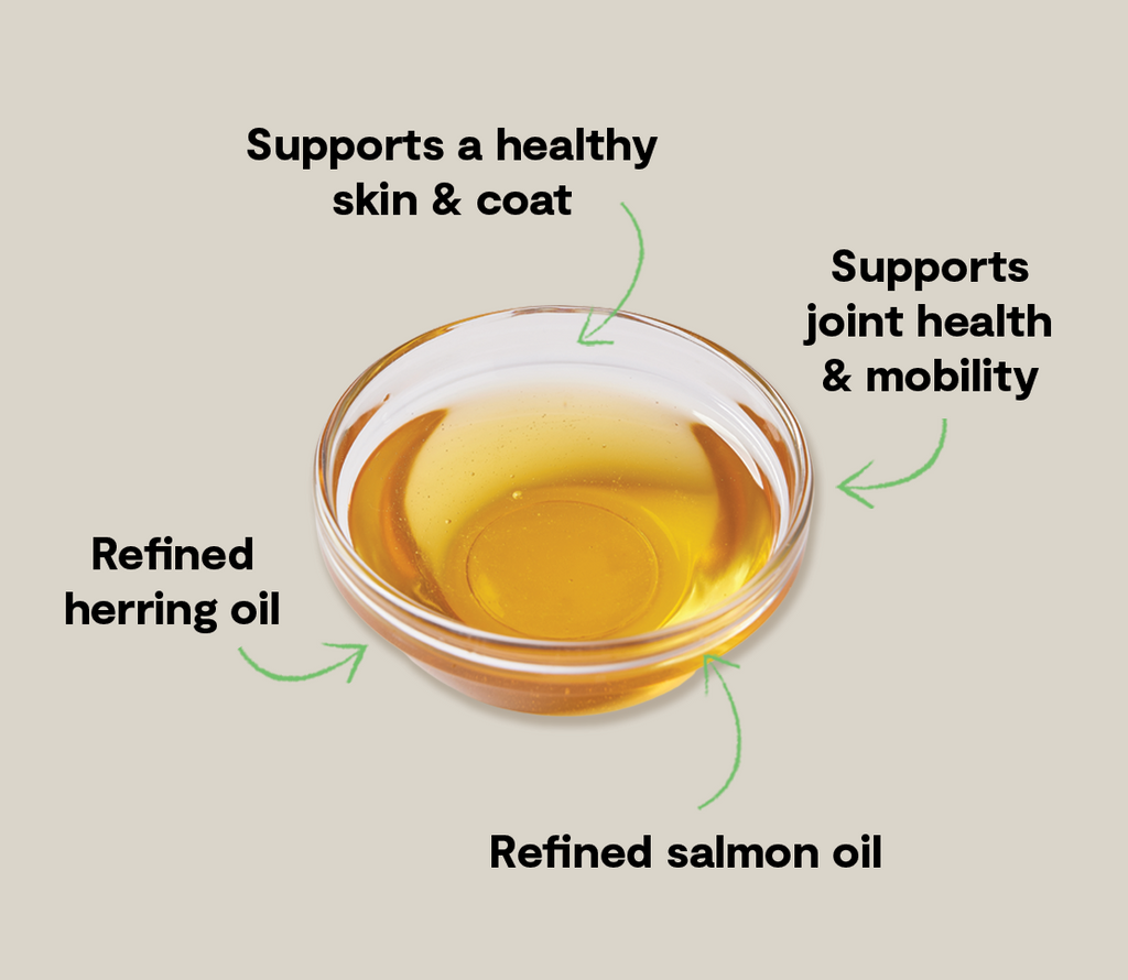 Icelandic Herring & Salmon Fish Oil – Omega-3 EPA DHA Dog Supplement