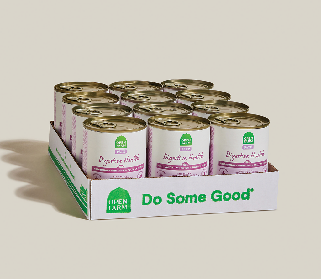 Whitefish & Pollock Digestive Health Pâté for Dogs – Oatmeal Sensitive
