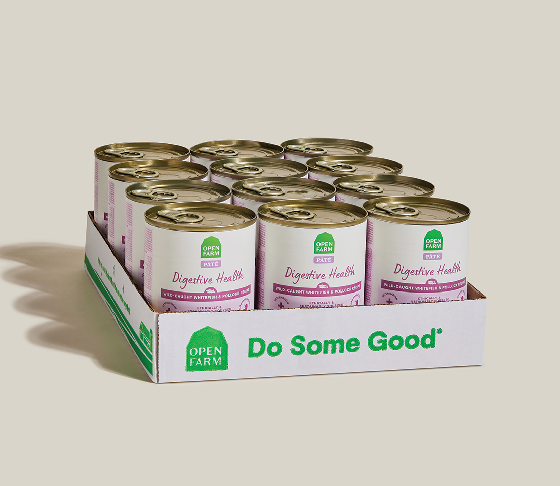 Whitefish & Pollock Digestive Health Pâté for Dogs – Oatmeal Sensitive
