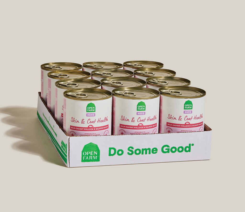 Wild Pollock & Salmon Skin & Coat Health Pâté – Complete Wet Dog Food