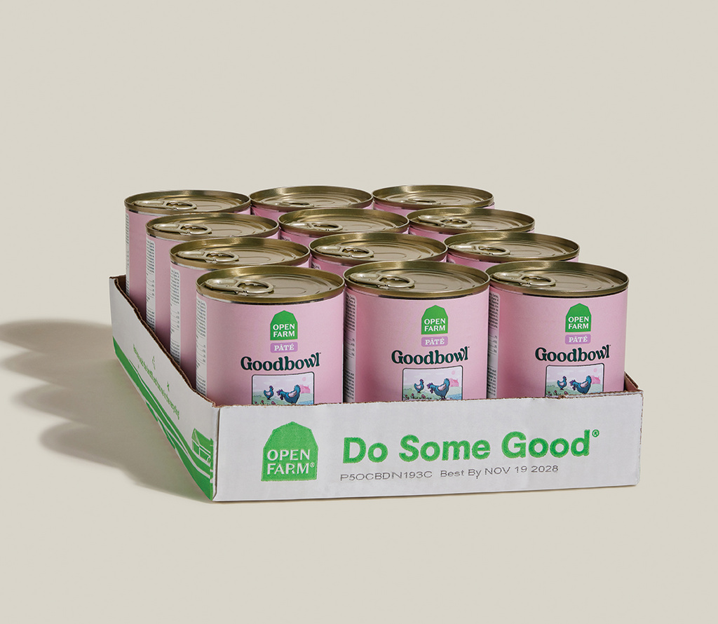 Chicken & Wild Salmon Smooth Pâté – Complete Wet Dog Food with Grains