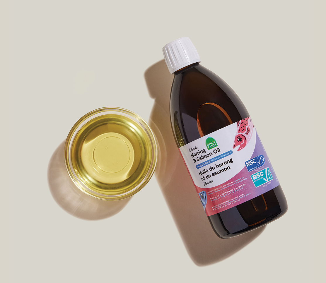Icelandic Herring & Salmon Fish Oil for Cats - EPA/DHA Skin, Coat & Joints