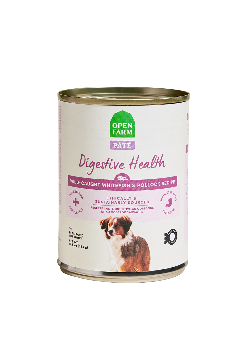 Whitefish & Pollock Digestive Health Pâté for Dogs – Oatmeal Sensitive
