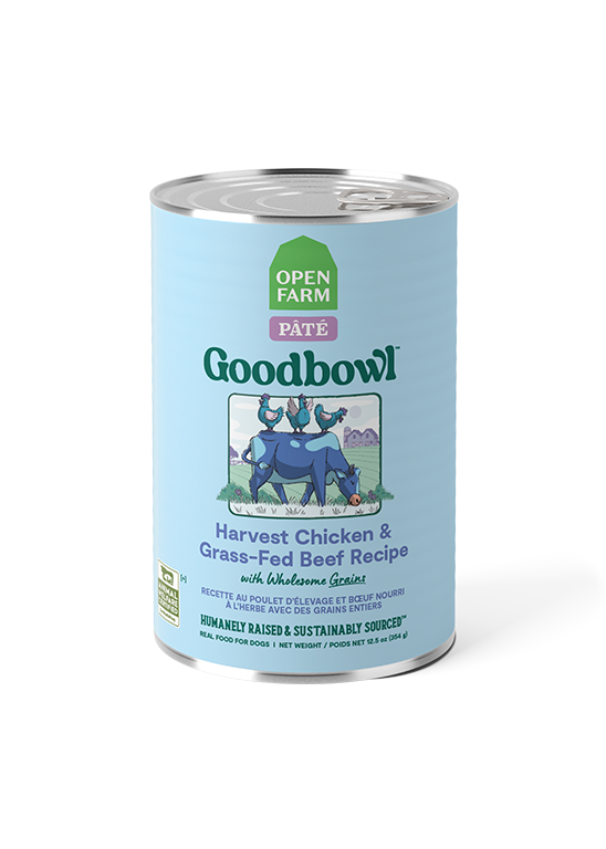 Chicken & Grass-Fed Beef Pâté for Dogs – Oats Carrots Moisture-Rich