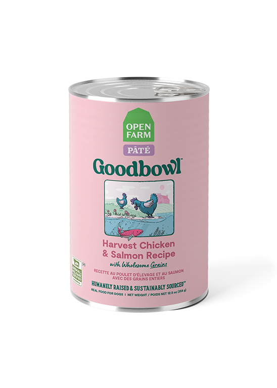 Chicken & Wild Salmon Smooth Pâté – Complete Wet Dog Food with Grains
