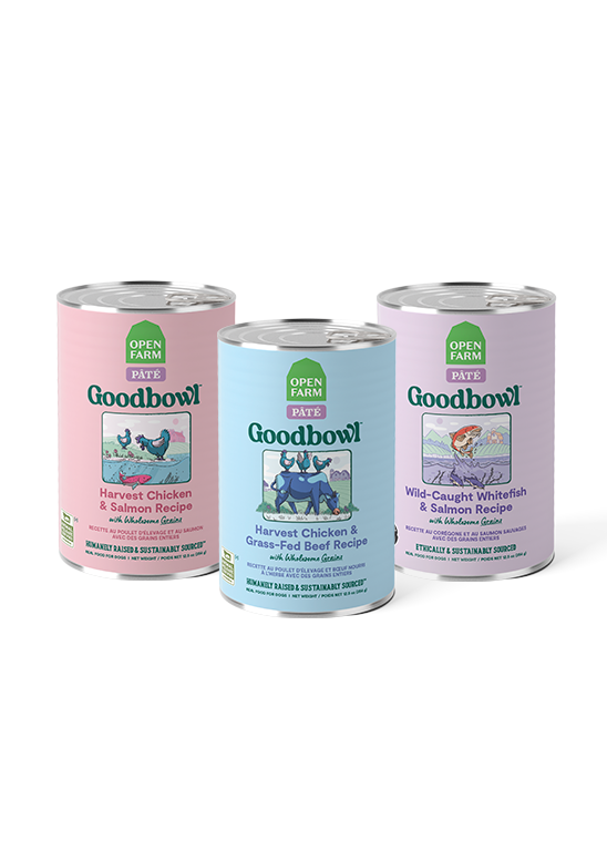 Wet Dog Pate Variety Pack - Chicken, Beef & Whitefish Salmon Cans