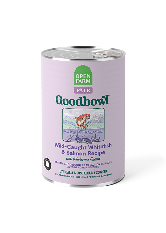 Wild-Caught Whitefish & Salmon Pâté for Dogs – Ocean Wise Oats Pumpkin