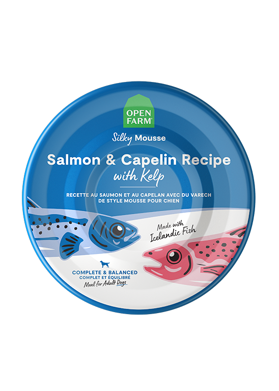 ASC Icelandic Salmon & MSC Capelin Grain-Free Wet Dog Food with Kelp