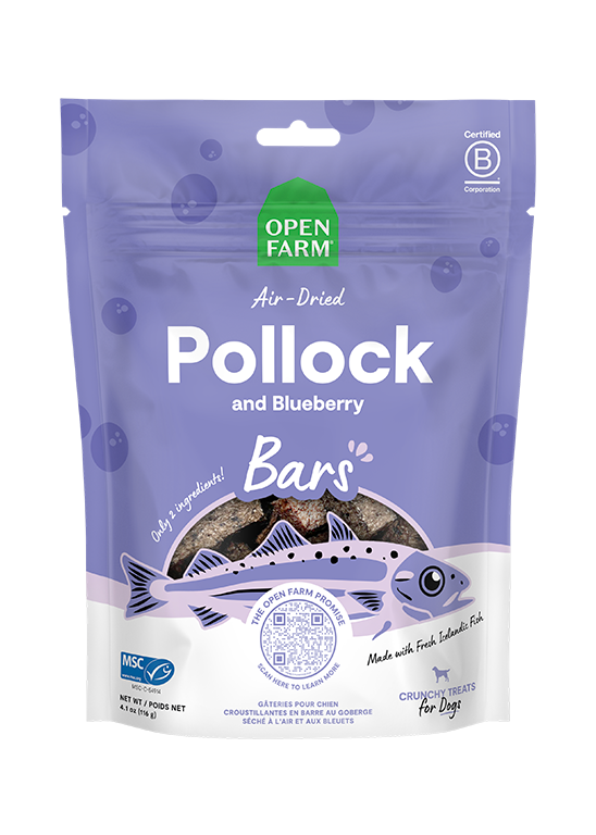 Air-Dried Pollock & Blueberry Dog Treat Bars – 2-Ingredient, Omega-3 Rich