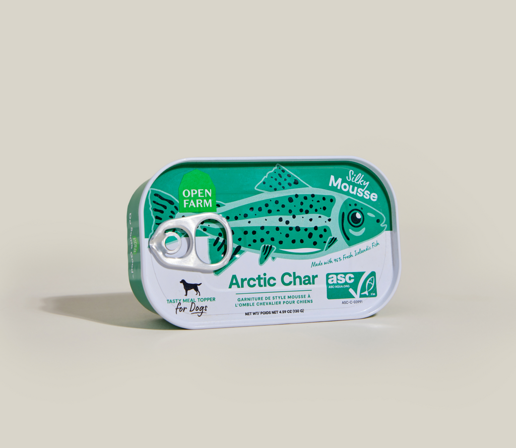 Icelandic Arctic Char Wet Topper – Grain-Free Mousse for Sensitive Dogs