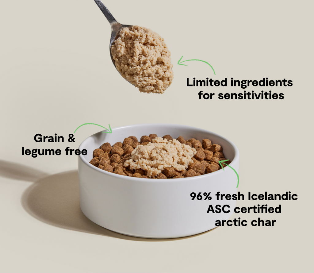 Icelandic Arctic Char Wet Topper – Grain-Free Mousse for Sensitive Dogs