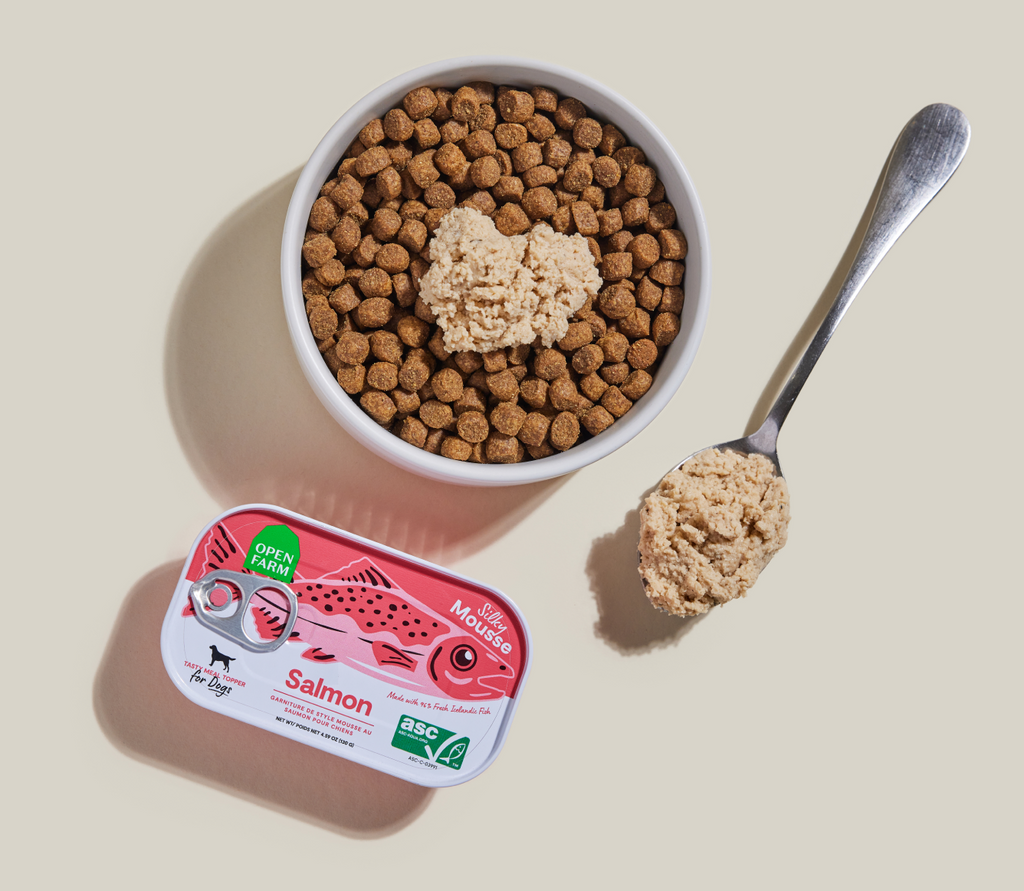 Icelandic Salmon Mousse Topper – Grain-Free Wet Dog Food Mixer, 96% Salmon