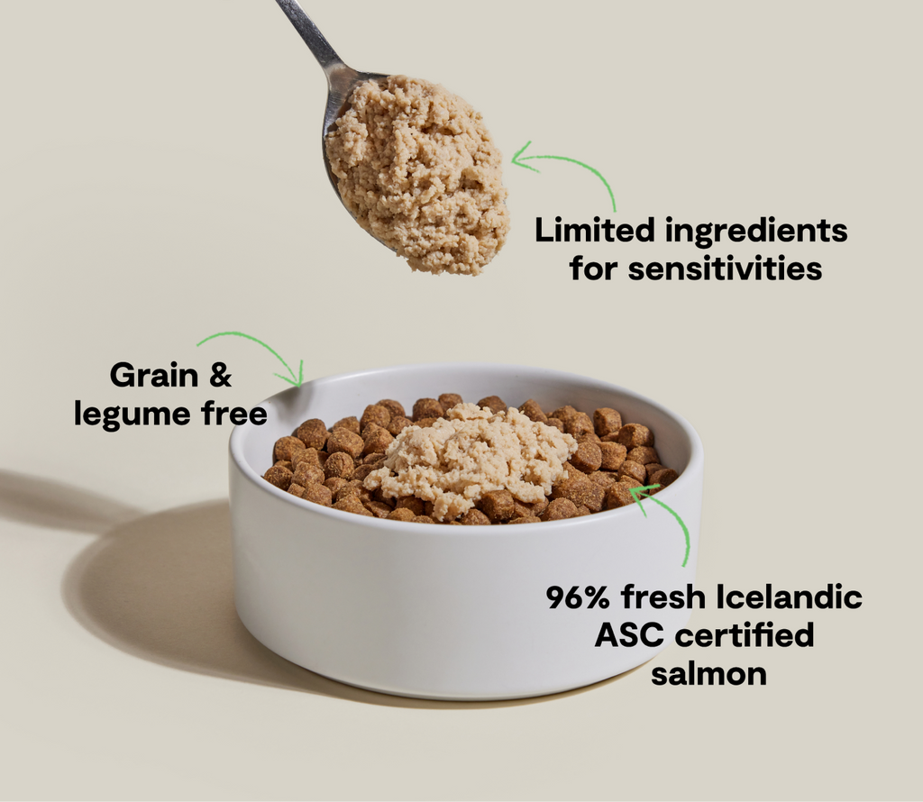 Icelandic Salmon Mousse Topper – Grain-Free Wet Dog Food Mixer, 96% Salmon