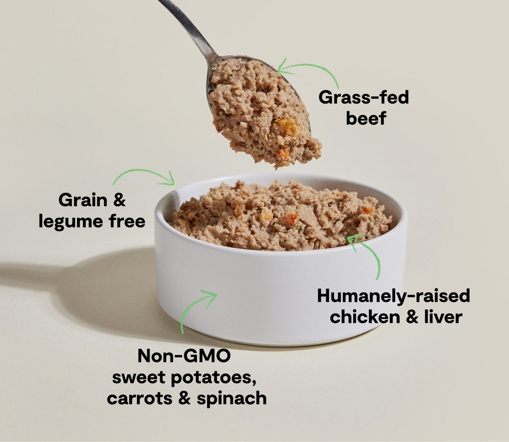 Chicken & Grass-Fed Grain-Free Pâté – Complete Wet Dog Food Meal