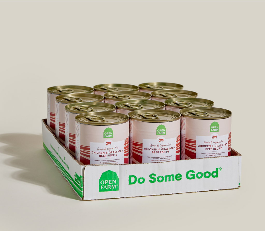 Chicken & Grass-Fed Grain-Free Pâté – Complete Wet Dog Food Meal
