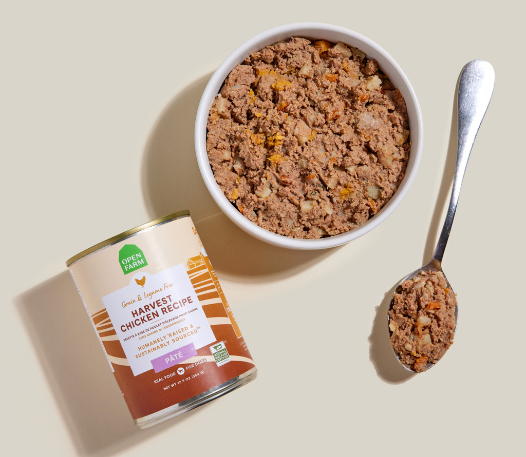 Single-Protein Chicken Pâté for Dogs – Sweet Potato & Carrot, Grain-Free