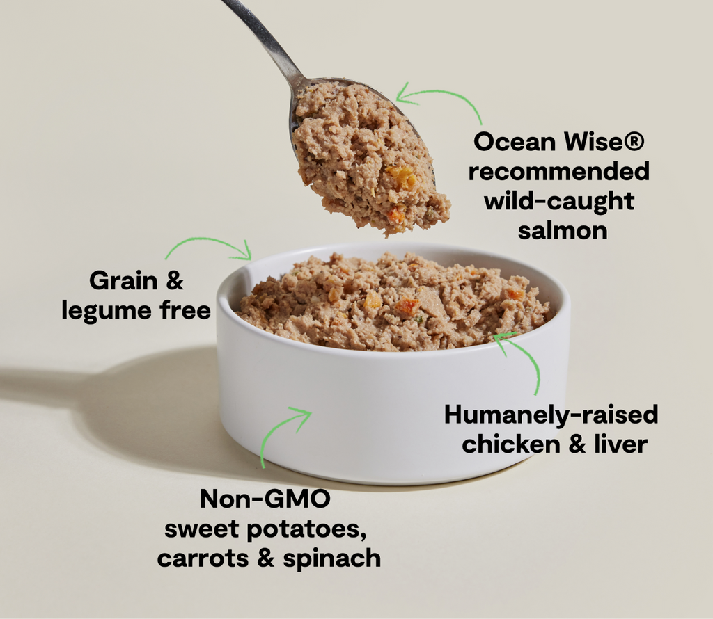 Grain-Free Chicken & Salmon Pate for Dogs - Smooth Broth-Rich Wet Meal