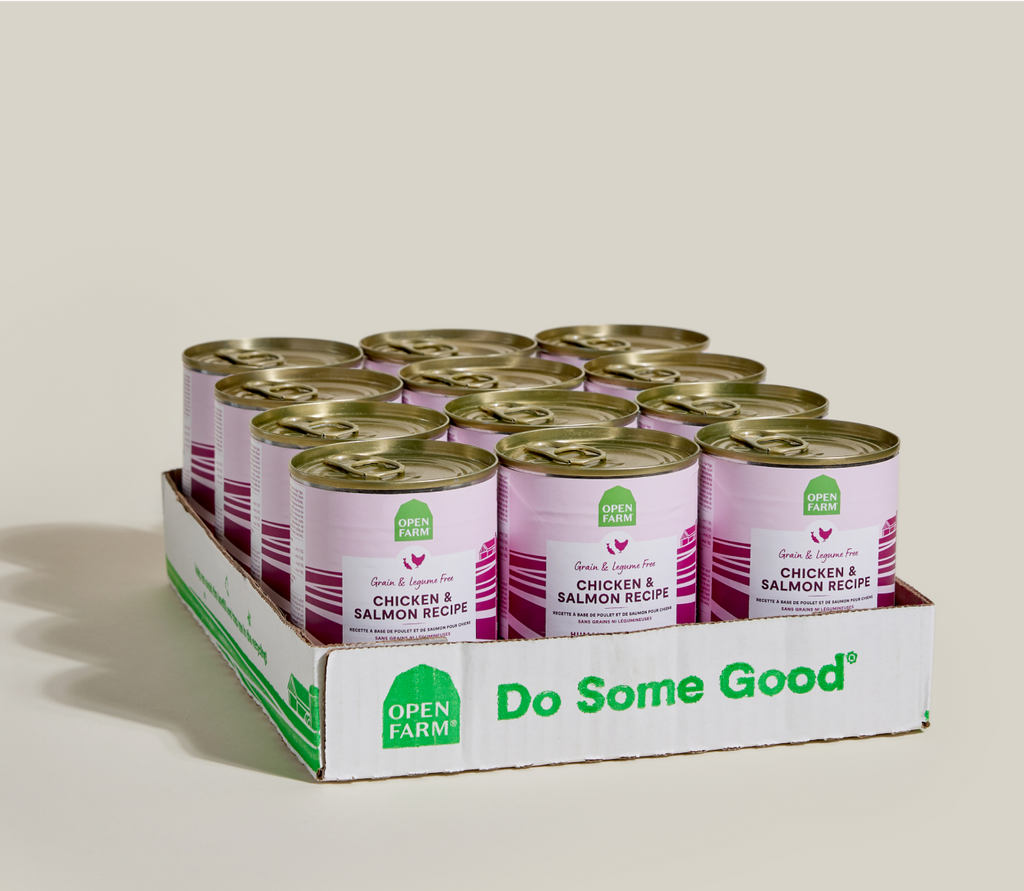 Grain-Free Chicken & Salmon Pate for Dogs - Smooth Broth-Rich Wet Meal