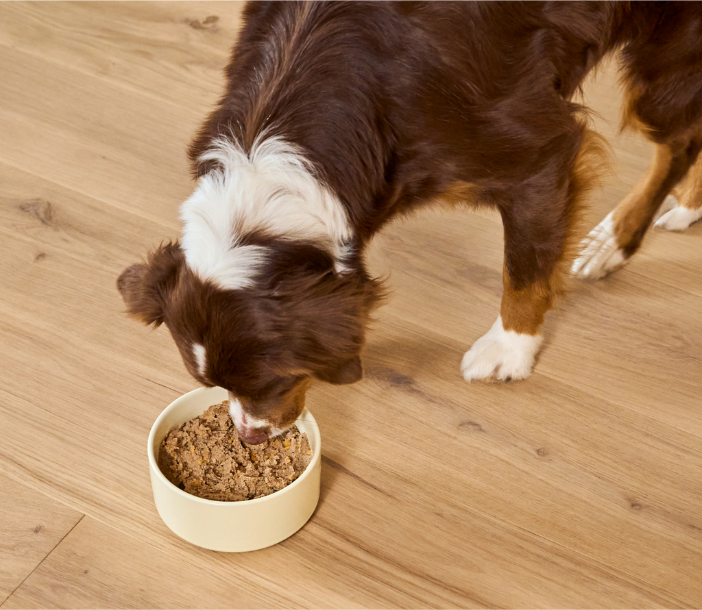 Chicken & Grass-Fed Grain-Free Pâté – Complete Wet Dog Food Meal