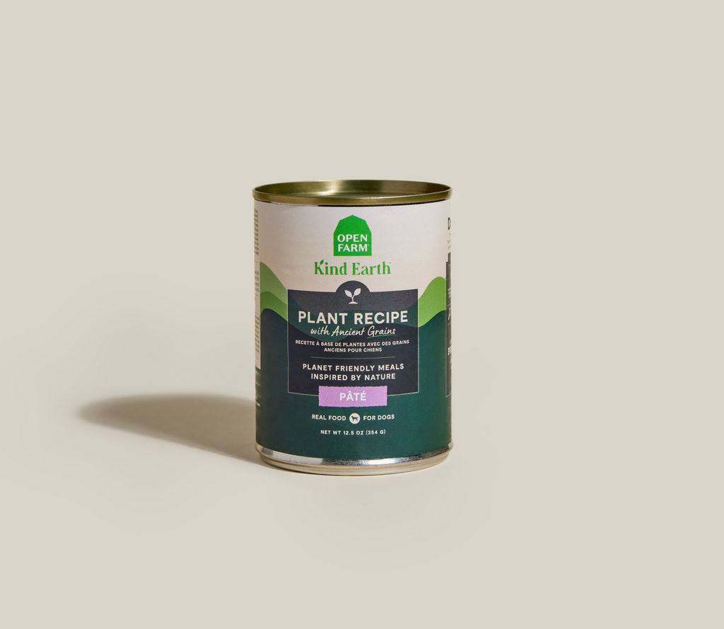 Plant-Based Wet Dog Pate with Ancient Grains - Meat-Free, Complete & Balanced