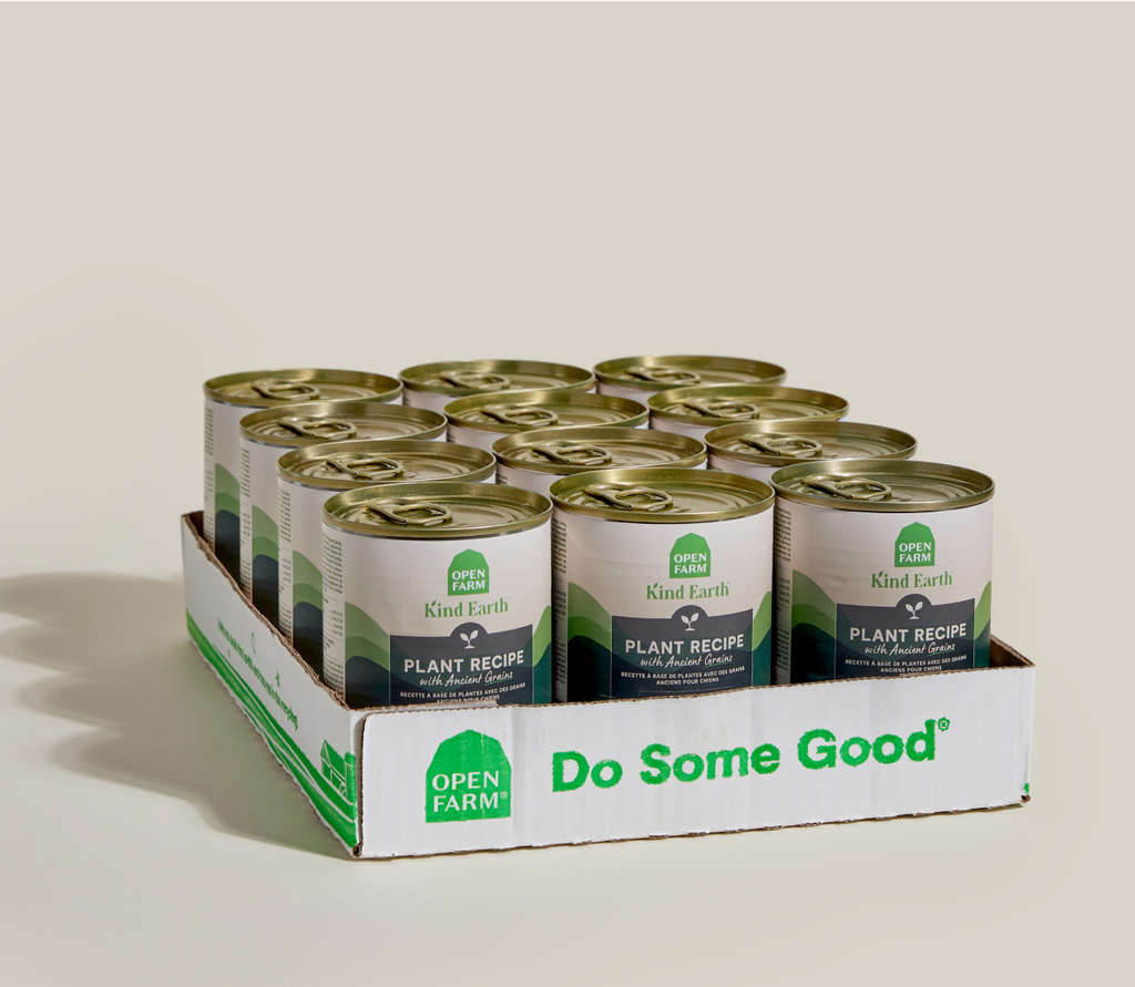 Plant-Based Wet Dog Pate with Ancient Grains - Meat-Free, Complete & Balanced