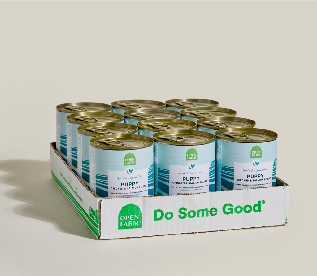 Chicken & Salmon Puppy Pâté – Grain-Free Wet Dog Food with DHA