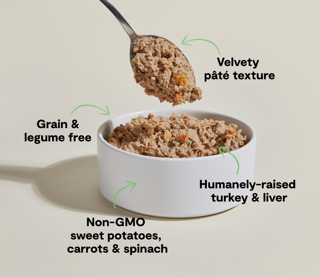 Single-Protein Turkey Pâté for Dogs – Spinach, Carrot & Sweet Potato