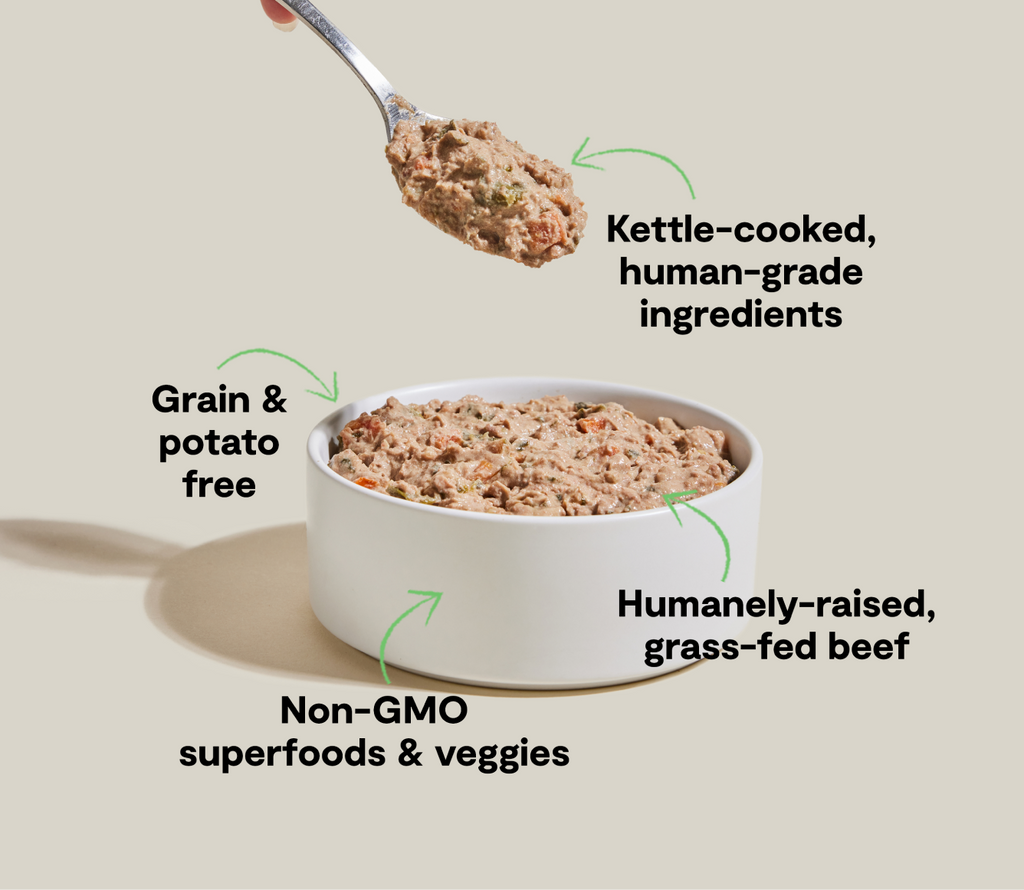 Grass-Fed Beef Wet Dog Food Stew - Human-Grade Grain-Free Kettle-Cooked