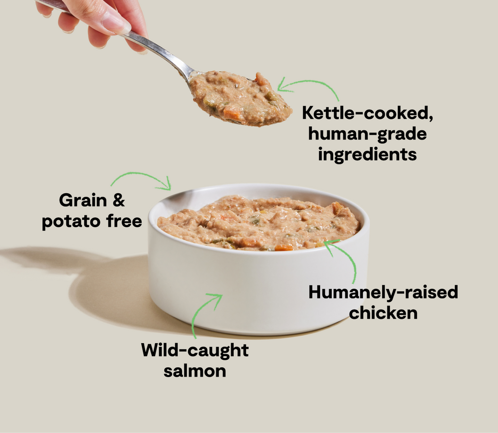Human-Grade Chicken & Salmon Wet Dog Stew – Grain-Free Rustic Recipe