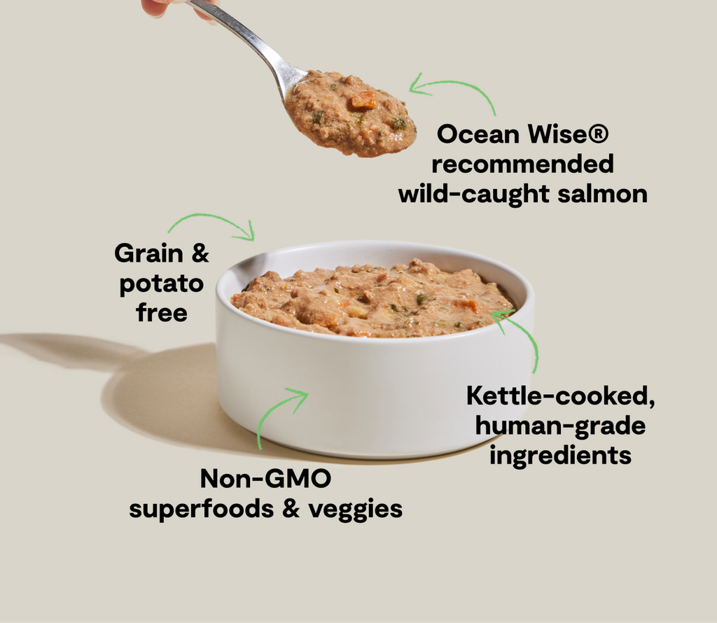 Wild-Caught Salmon Grain-Free Wet Dog Food Stew - Ocean Wise Meal Topper