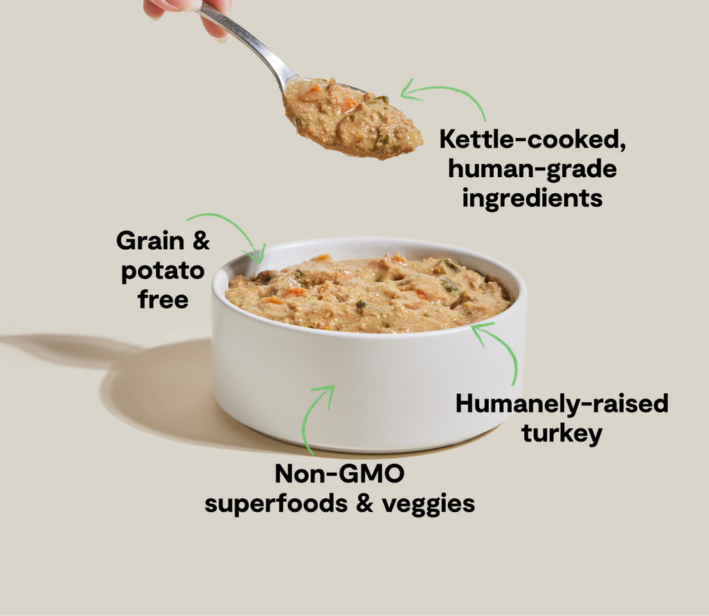 Homestead Turkey Rustic Stew – Grain-Free Wet Dog Food, Complete Meal