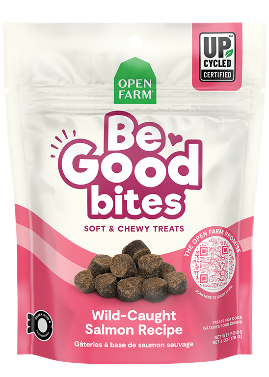 Wild-Caught Salmon Soft Dog Treats – Ocean Wise Endorsed, Upcycled Bites