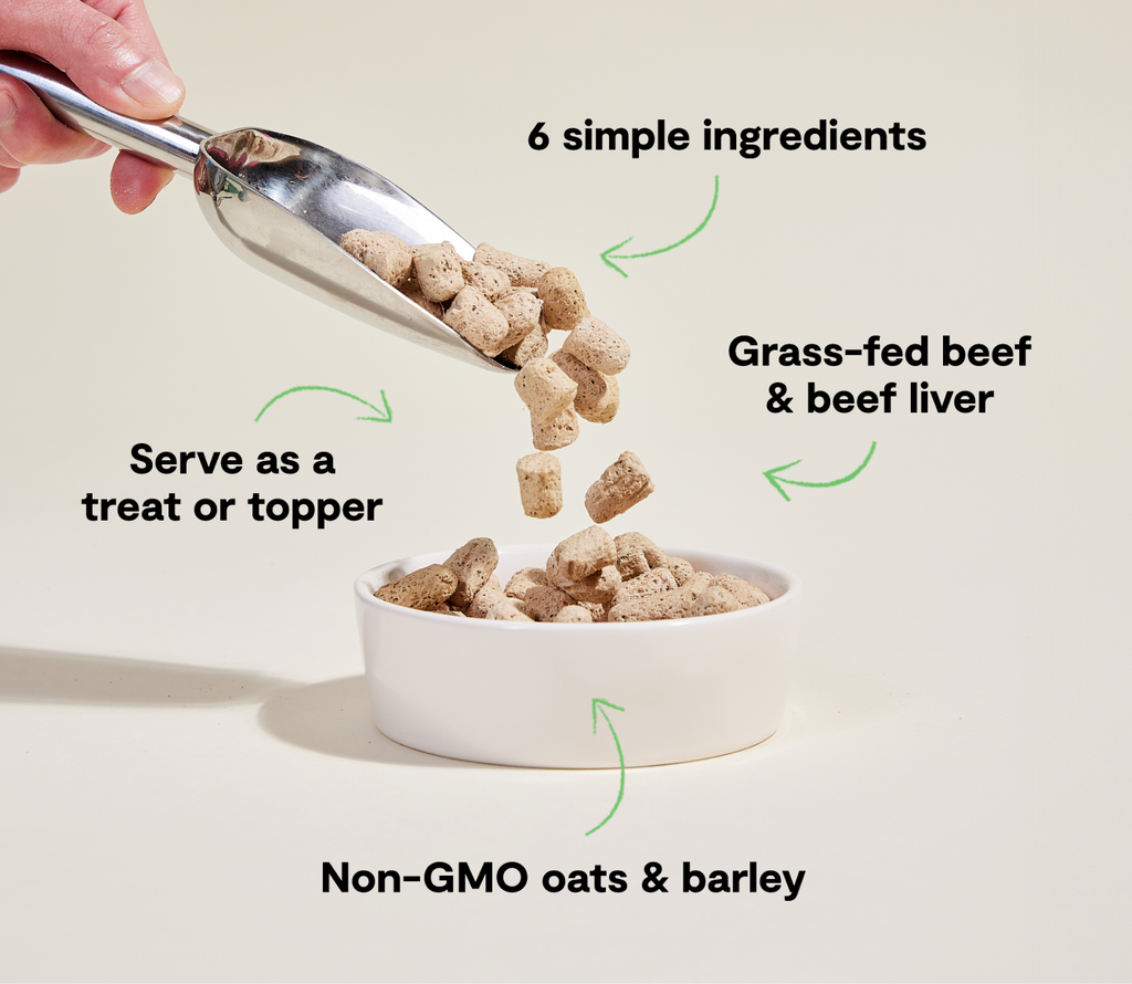 Grass-Fed Beef Freeze-Dried Raw Morsel Topper – 6-Ingredient Dog Mixer