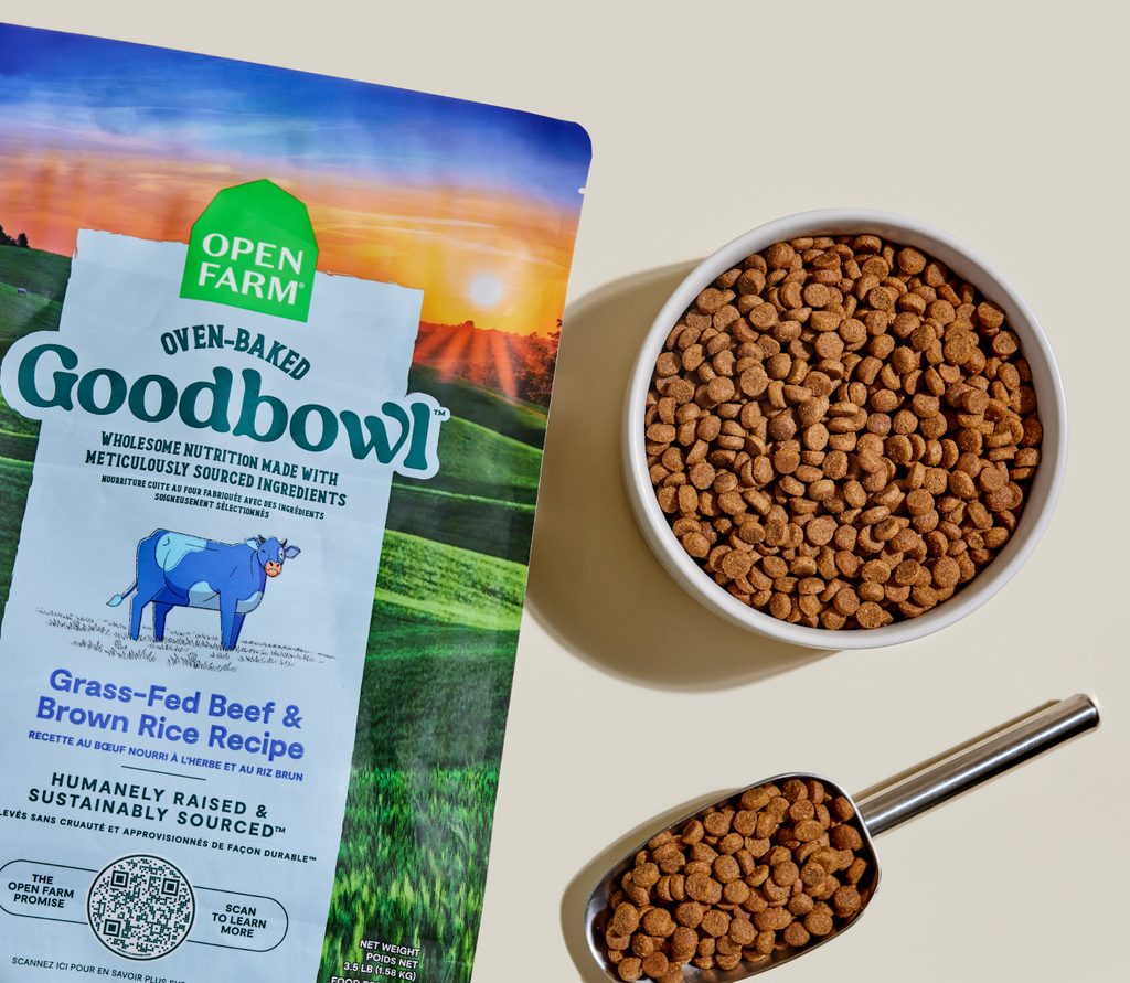 Grass-Fed Beef & Brown Rice Oven-Baked Dog Kibble – Wholesome Value