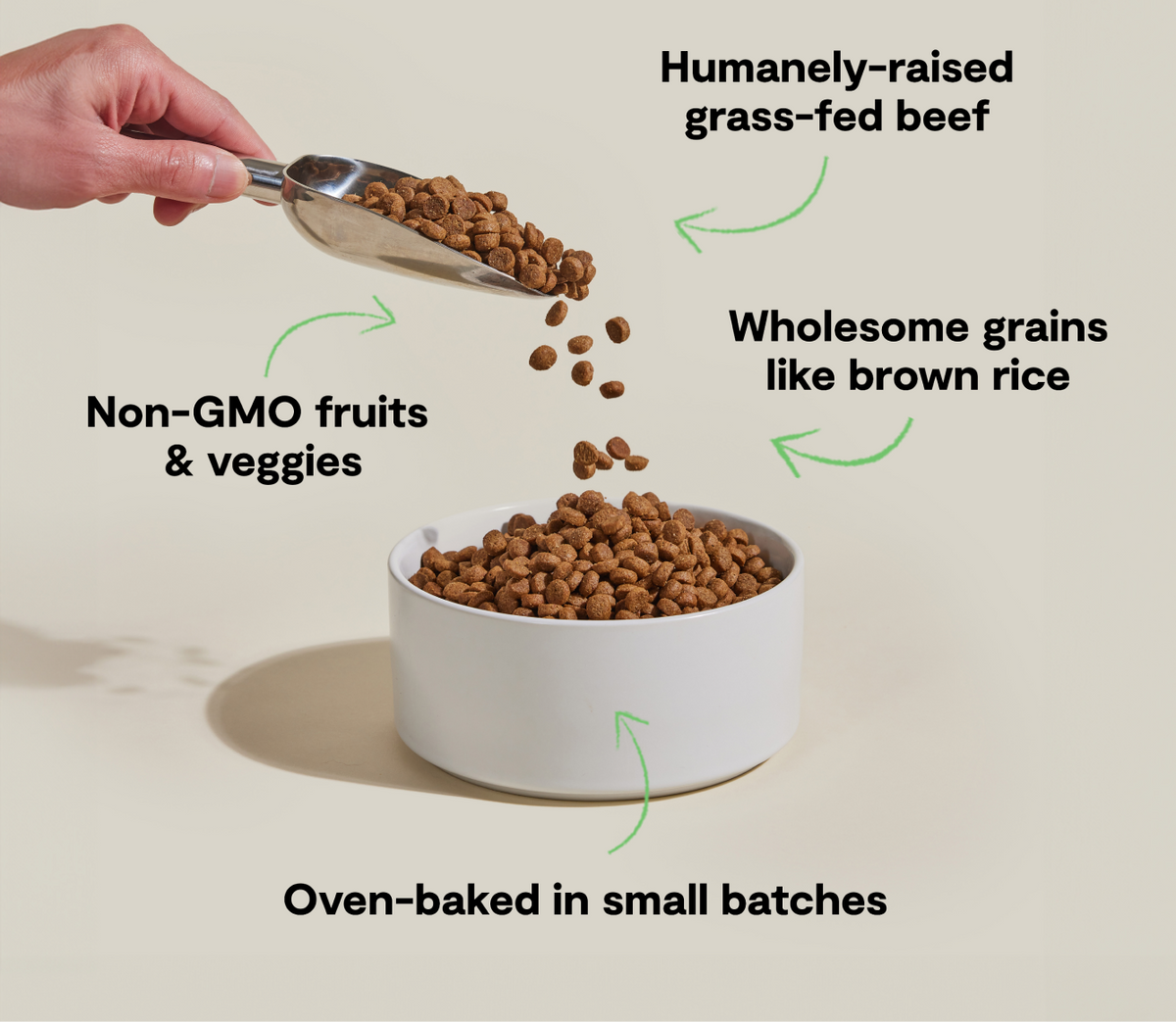 Grass-Fed Beef & Brown Rice Oven-Baked Dog Kibble – Wholesome Value