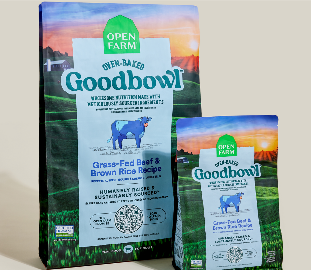 Grass-Fed Beef & Brown Rice Oven-Baked Dog Kibble – Wholesome Value