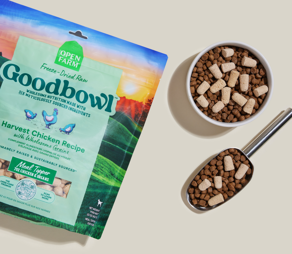 70% Chicken Freeze-Dried Raw Dog Food Topper – 6-Ingredient Morsels