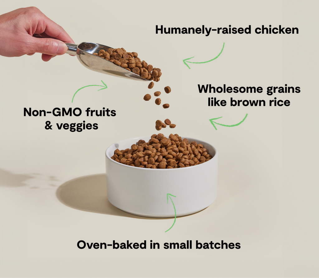 Oven-Baked Chicken & Brown Rice Dog Kibble - Complete Everyday Dry Food