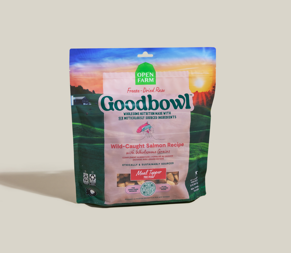Wild-Caught Salmon Freeze-Dried Raw Dog Food Topper - 70% Fish Morsels