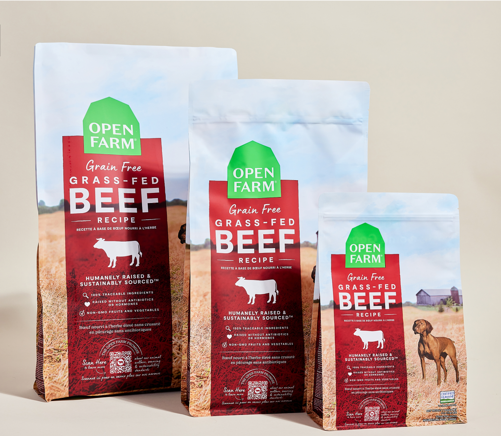 Grass-Fed Beef Dog Kibble – Grain-Free, Pumpkin & Sweet Potato, Traceable