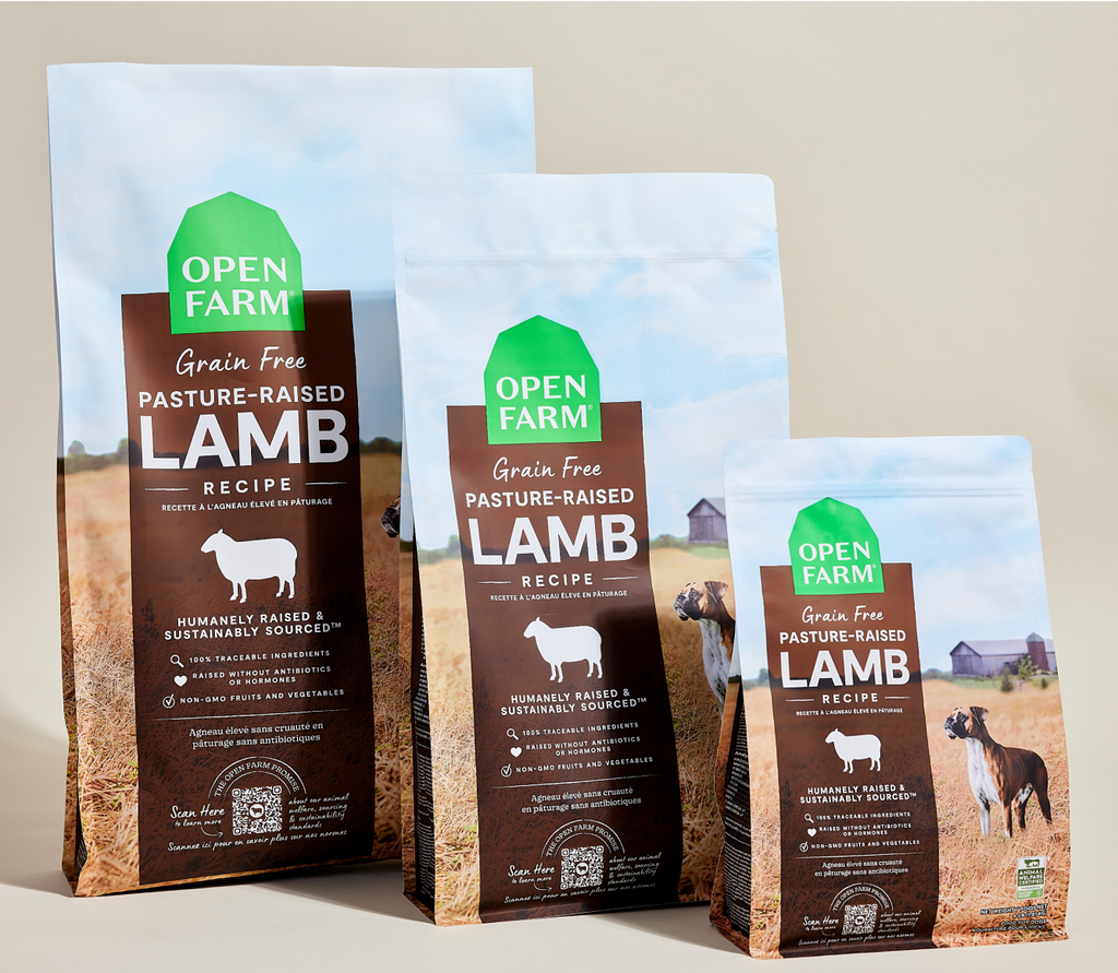 Pasture-Raised Lamb Dog Kibble – Grain-Free, Pumpkin & Coconut Oil