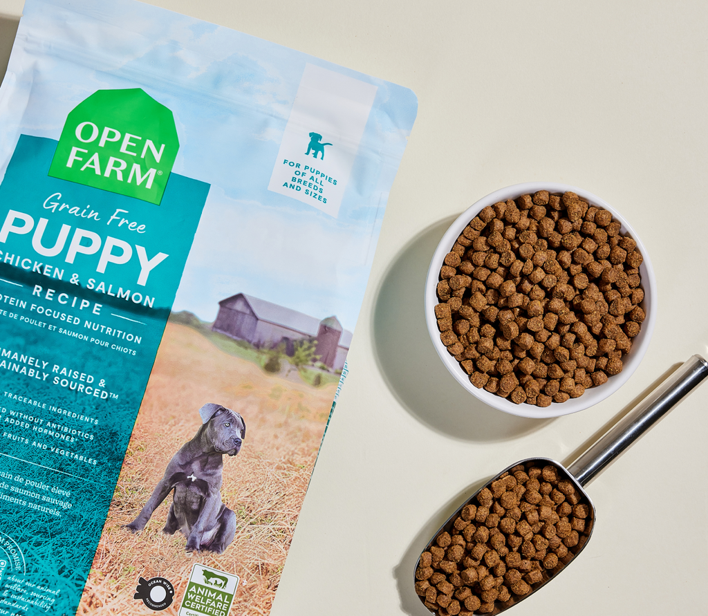 Grain-Free Salmon & Chicken Puppy Kibble – Immune & Skin Support