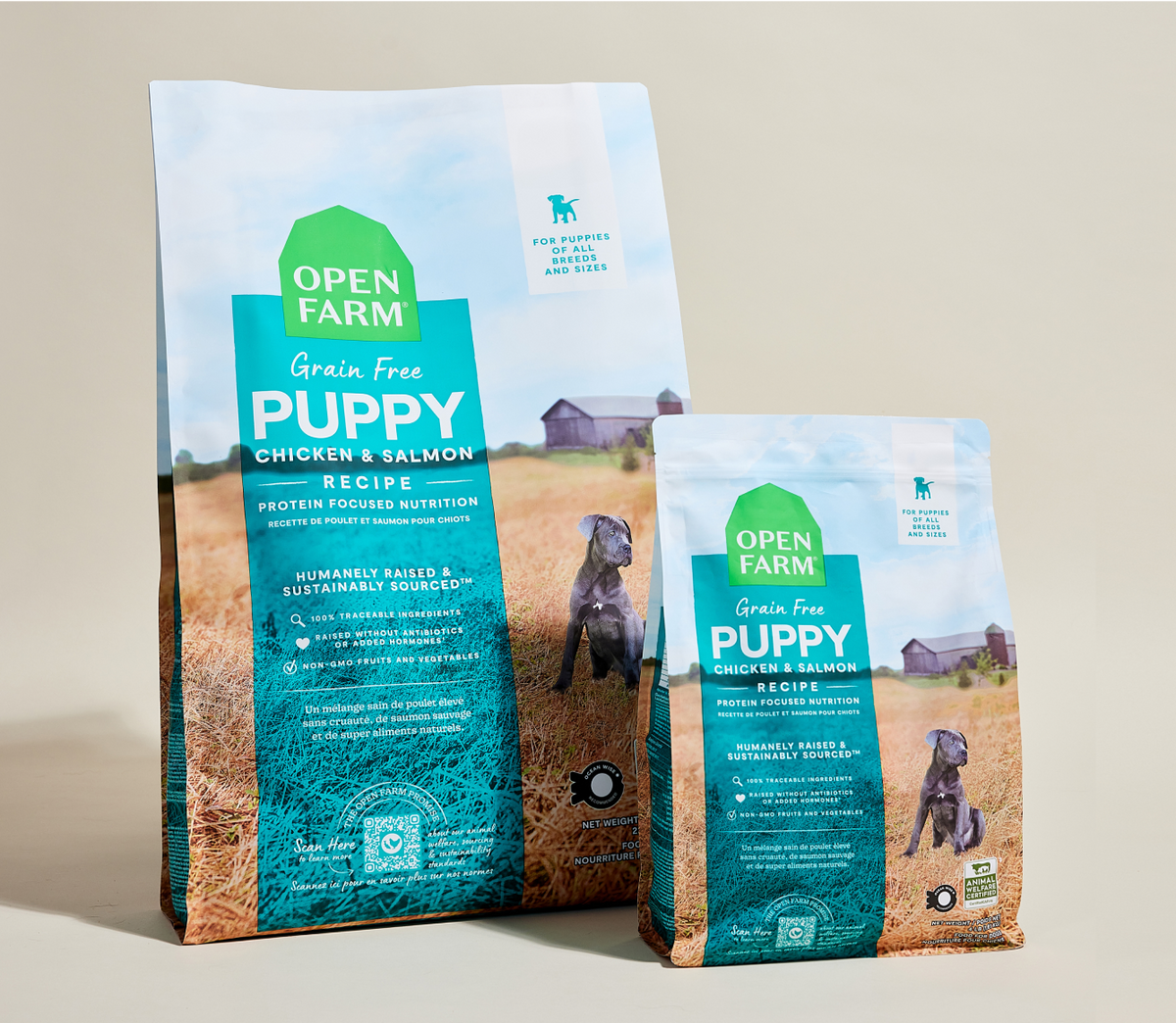 Grain-Free Salmon & Chicken Puppy Kibble – Immune & Skin Support