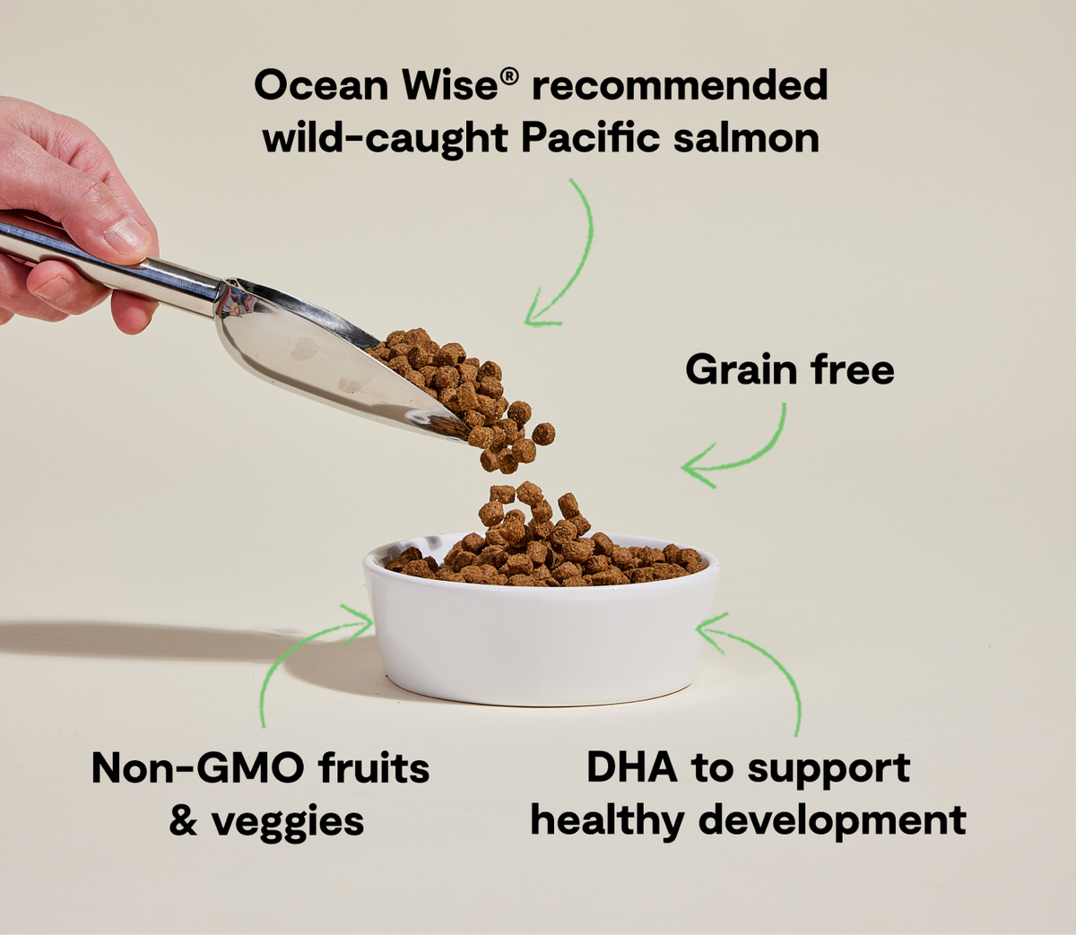 Grain-Free Wild-Caught Salmon Puppy Kibble - Sweet Potato & Pumpkin Recipe