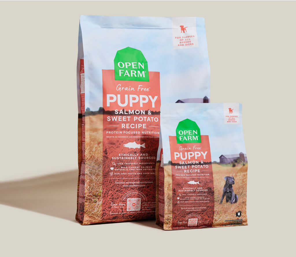 Grain-Free Wild-Caught Salmon Puppy Kibble - Sweet Potato & Pumpkin Recipe