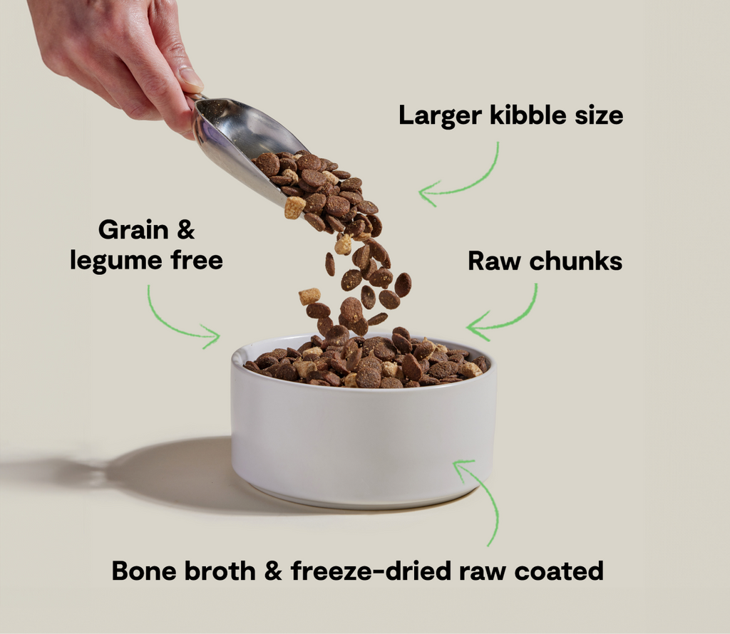 Large-Breed Grain-Free Salmon & Poultry Raw-Coated Dog Kibble