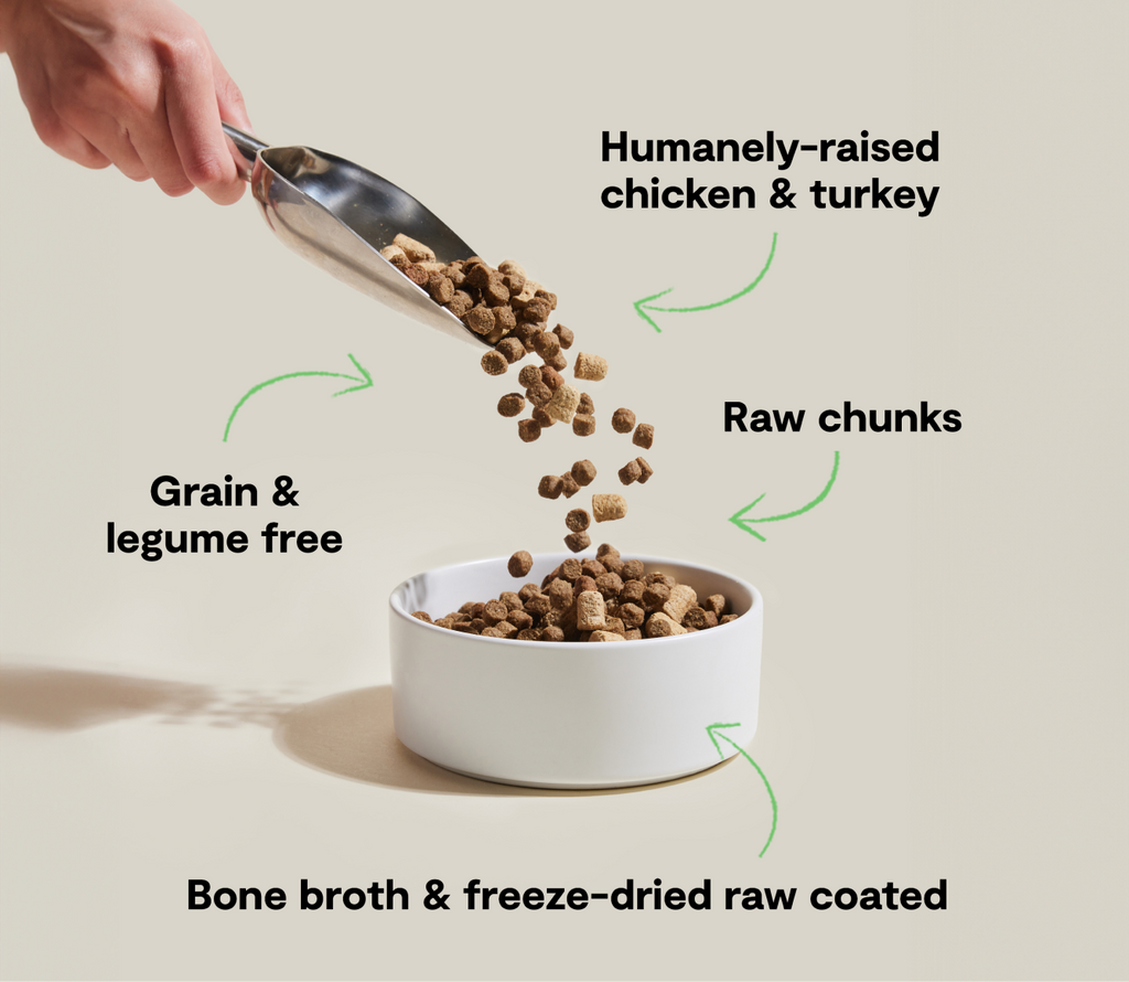 Grain-Free Chicken & Turkey Raw-Coated Dog Kibble – Open Prairie Recipe