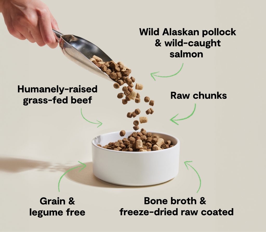 Pollock Salmon Beef Grain-Free RawMix Dog Kibble – Skin Coat Raw-Coated