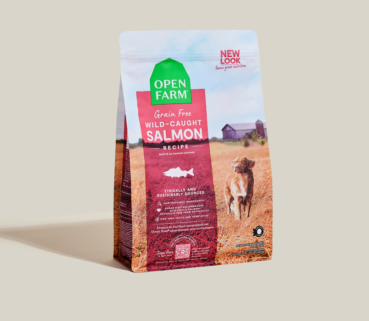 Ocean Wild Salmon Grain-Free Dry Dog Food Kibble – Omega-3 Rich