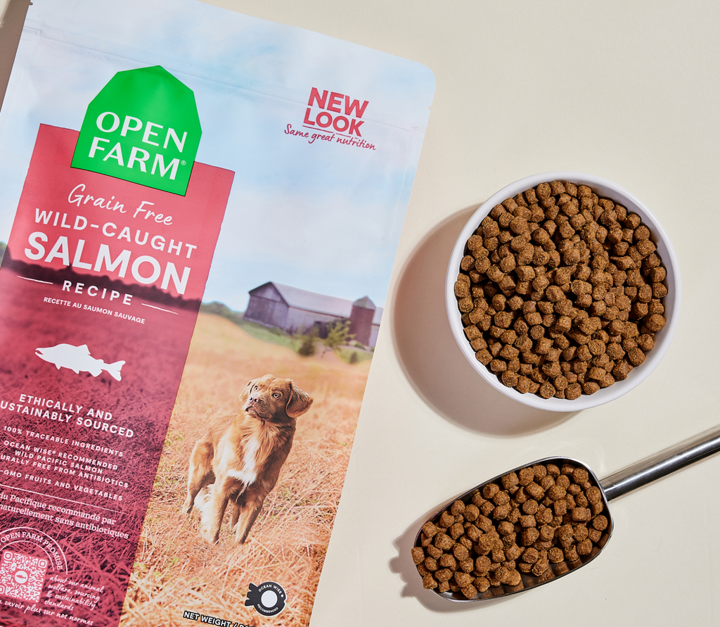 Ocean Wild Salmon Grain-Free Dry Dog Food Kibble – Omega-3 Rich
